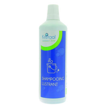 Shampoing lustrant pour carrosserie