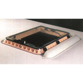 Déflecteur de toit pour dôme