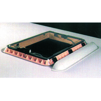 Déflecteur de toit pour dôme