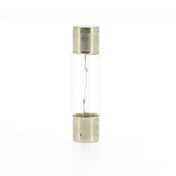 Ampoule pour réfrigérateurs