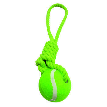 Jeu pour chien avec corde et balle de tennis