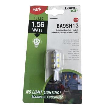 Ampoule 13 LED blanc froid