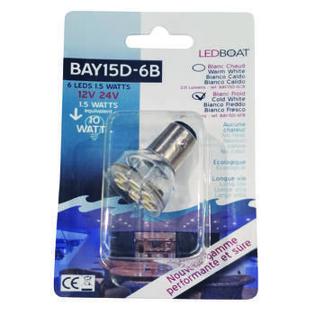 Ampoule 6 LEDS blanc froid