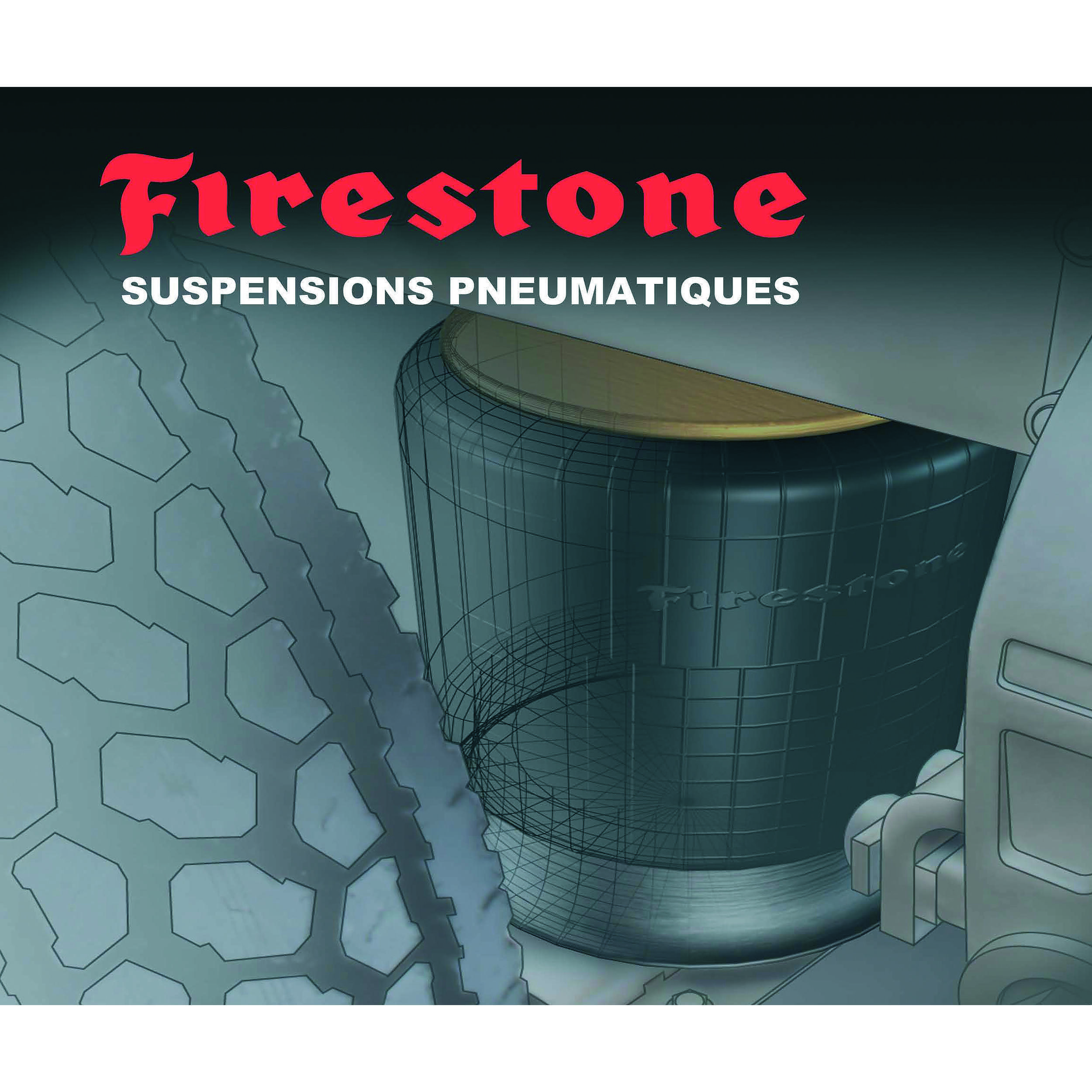 Renfort pneumatique Driverite