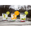 Lot de 6 verres à eau aimantés
