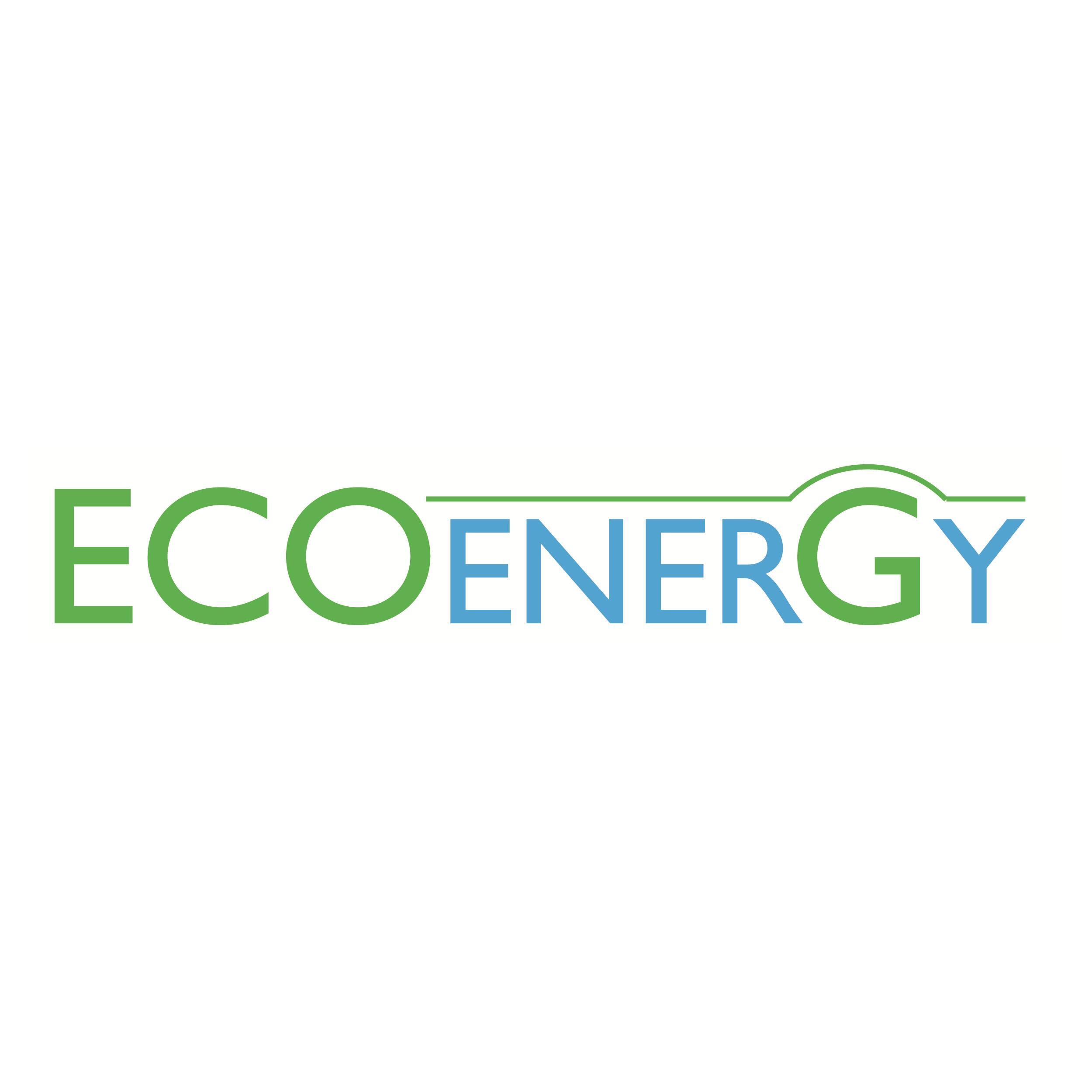 Chargeur de batteries 12 Volts fonctionnant au gaz Eco Energy