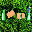 Lunch box en bambou et verre : - Coloris : Vert