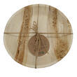 Lot de 10 assiettes plates réutilisables