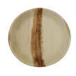 Lot de 10 assiettes plates réutilisables