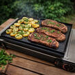 Plancha / Grill pour réchaud à gaz portable avec 2 feux