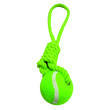 Jeu pour chien avec corde et balle de tennis