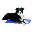 Matelas rafraîchissant pour chien taille L