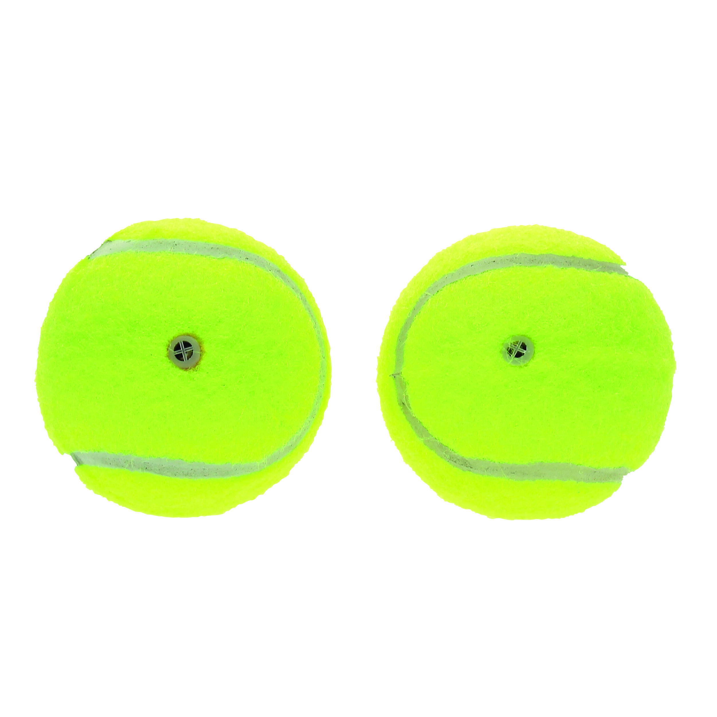 JEU POUR CHIEN SONORE