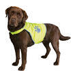 Gilet de sécurité pour chien taille M