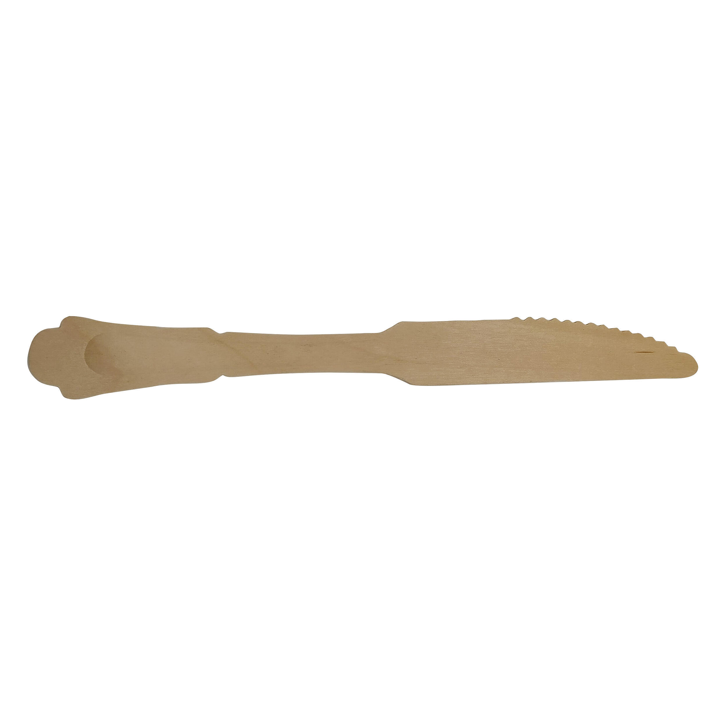 Lot de 10 couteaux réutilisables