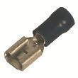 Cosse plate femelle 6,3 mm