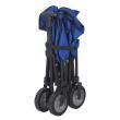 Chariot Trolley