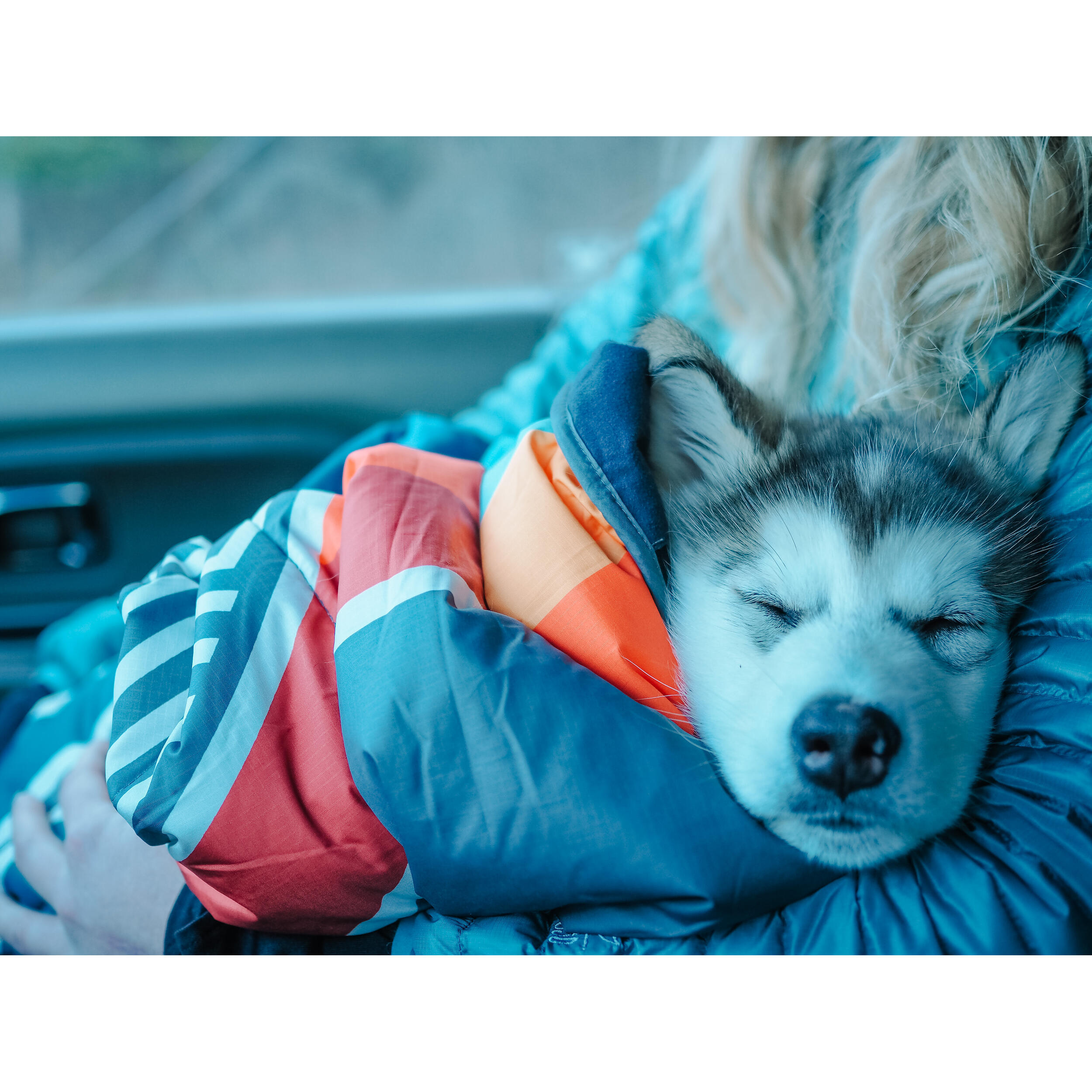 Couverture pour animaux Camp Vibes Two