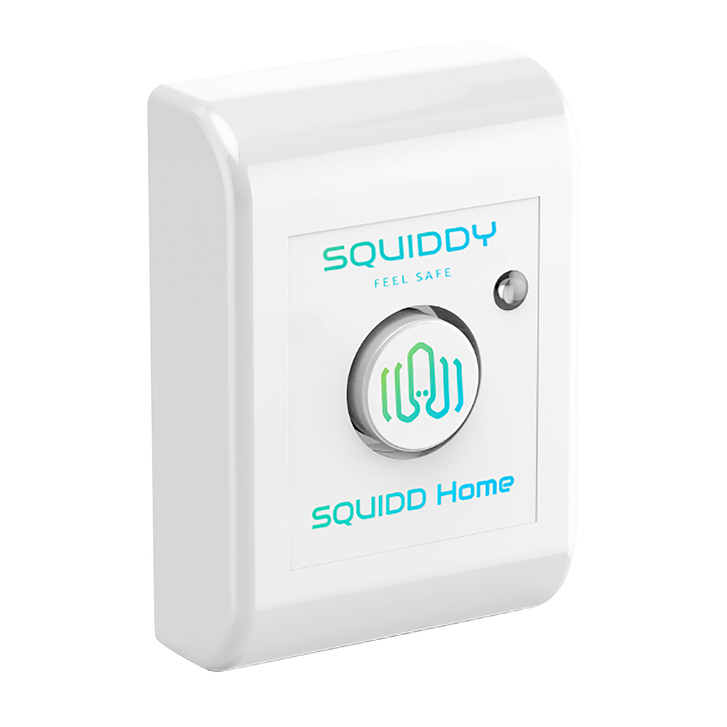 Squidd Home