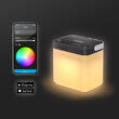 Lampe Area Camp Light