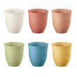 Lot de 6 gobelets bas Tierra