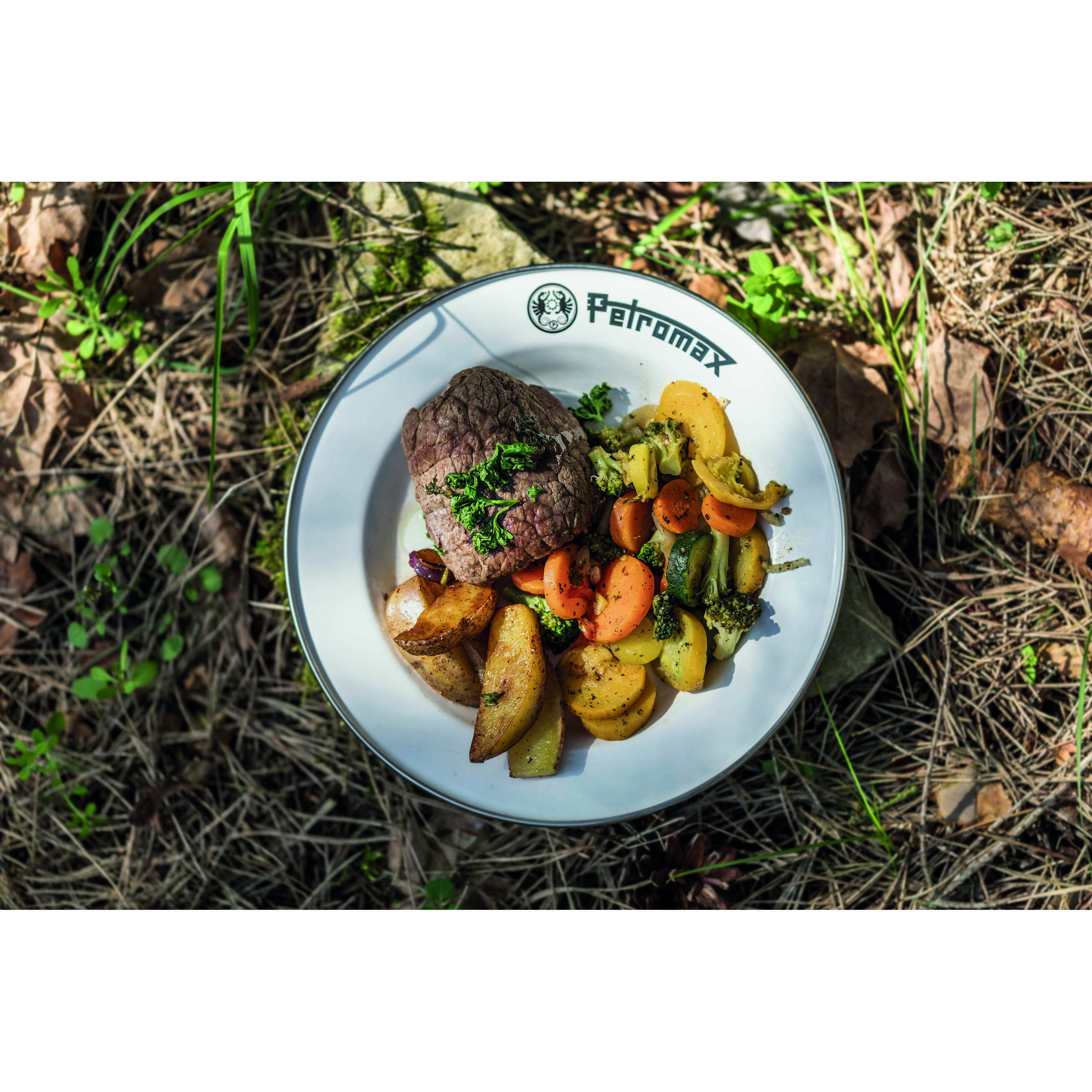 Lot de 2 assiettes en émail