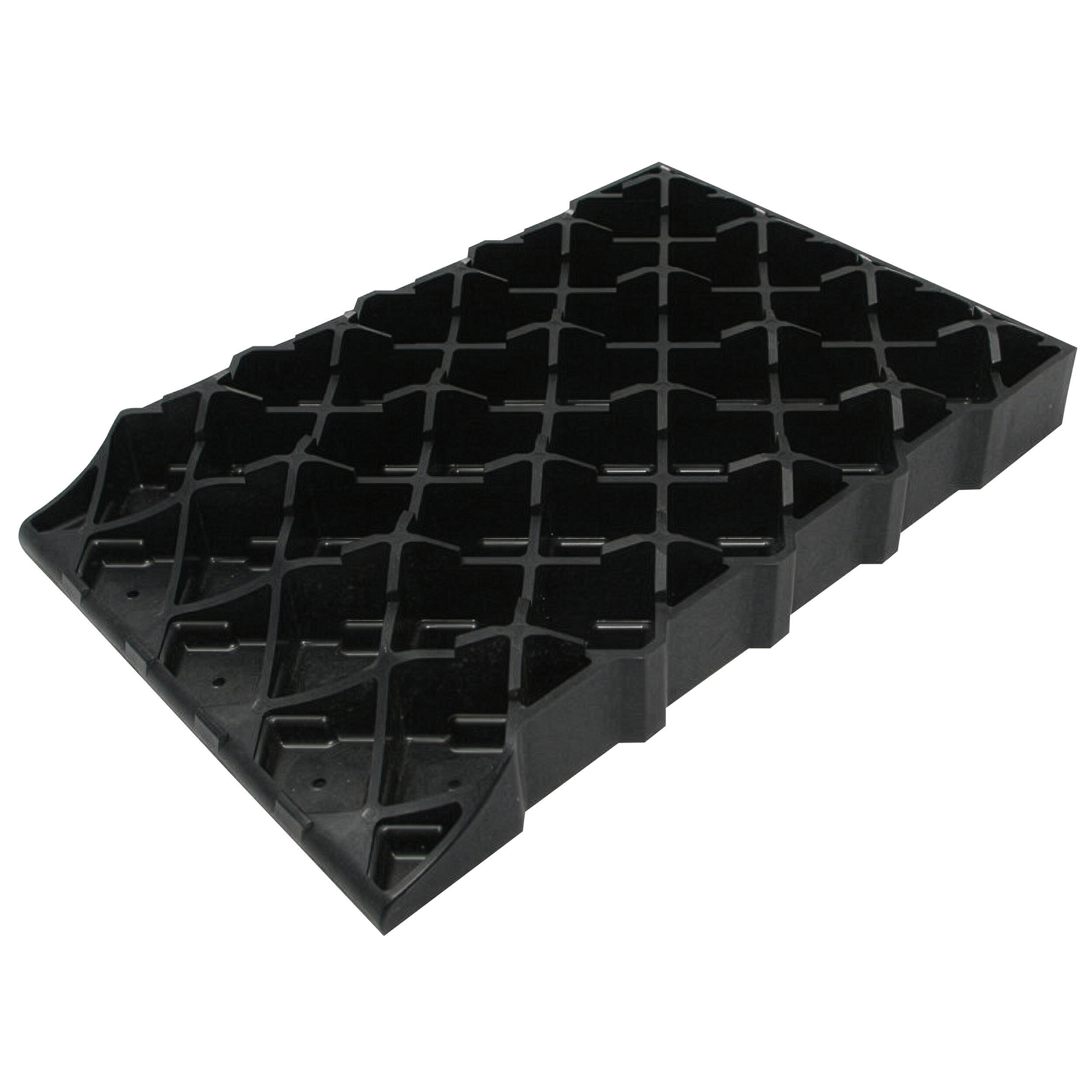 Cale base large